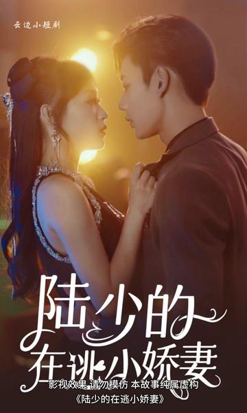 陆少的娇妻野翻了全集(大结局)