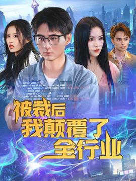被裁后我颠覆了全行业全集(大结局)