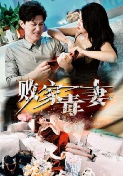 败家毒妻全集(大结局)