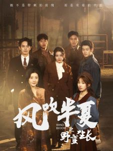 风吹半夏之野蛮生长第35集