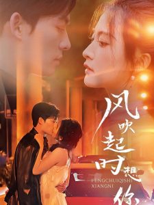 风吹起时想你全集(大结局)