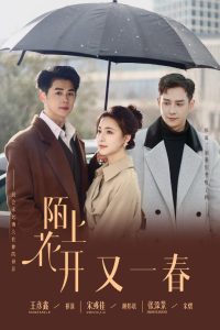 陌上花开又一春全集(大结局)