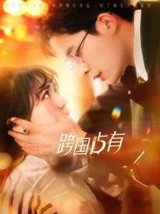 跨国占有全集(大结局)