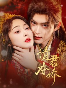 请君夺娇全集(大结局)