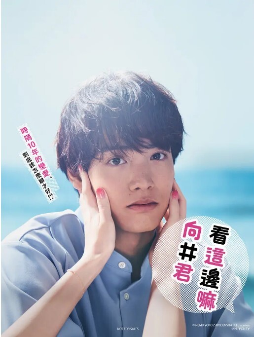 往这边看 向井君(全集)